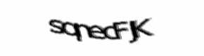 Security check image, please type the characters shown
